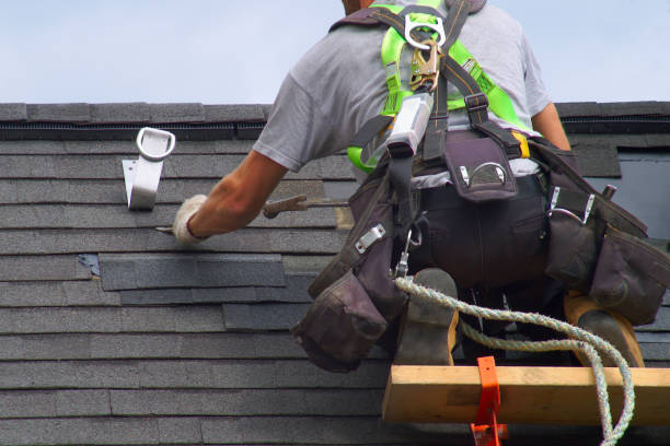 Best Gutter Installation and Roofing  in Ome, GA
