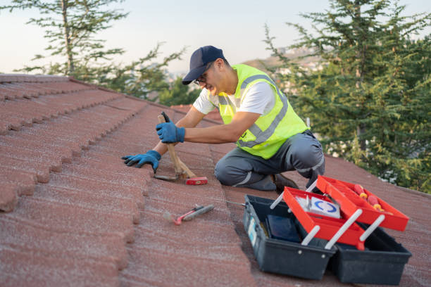 Best Roof Repair Services  in Ome, GA